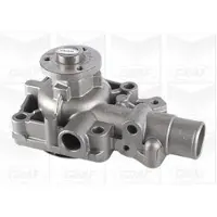 Graf PA1161 Waterpomp