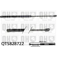 Quinton Hazell QTS828722 Gasveer achterklep