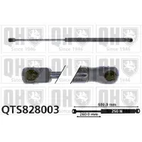 Quinton Hazell QTS828003 Gasveer motorkap
