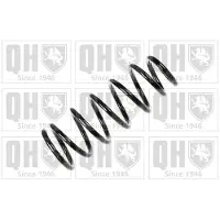 Quinton Hazell QCS6909 Chassisveer
