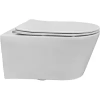 Sanilux Wandcloset Easy Flush Rimfree (Incl. Flatline zitting)