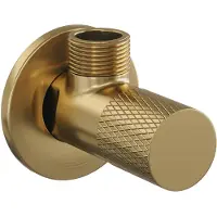 Brauer Hoekstopkraan gold carving edition compleet met slang goud geborsteld pvd