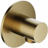 Hotbath Ace AC517 wanduitlaat geborsteld messing PVD