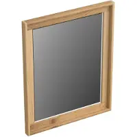 Forzalaqua Spiegel Reno 40x2x50 Cm Silver Grey