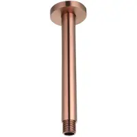 Sanilux Plafondstang regendouche uitloop rond 20 cm brons
