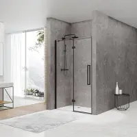 Van Rijn Nisdeur st05 draaideur met vaste wand 100x200 cm 8 mm zwart