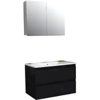 Boss & Wessing Badkamermeubel BWS Pepper Wastafel Porselein Incl Spiegelkast 2 Deurs Met 1 Krg 80x55x46 cm Mat Zwart