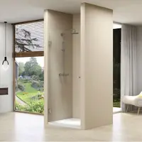 Van Rijn Nisdeur st01 profielloos 100x200 cm helder glas 8 mm rvs