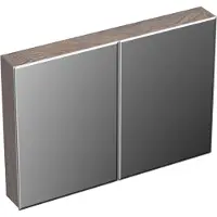Forzalaqua Spiegelkast Uni 100x68.5x12.5 Cm 2 Deuren Tweezijdig Spiegel Eiken Silver Grey