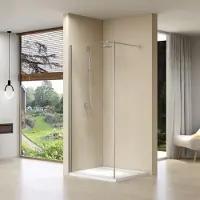 Van Rijn Inloopdouche st01 met zijwand helder glas 100-30x200 cm 8 mm chroom