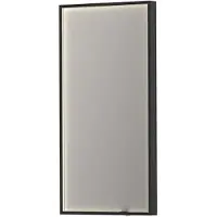 Ink Spiegel sp19 rechthoek in stalen kader met indirecte colour changing led verlichting 40x4x80 cm mat zwart