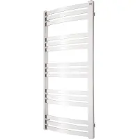 TVS Designradiator dino chroom 104x50 cm