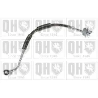 Quinton Hazell BFH6064 Remslang