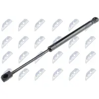 NTY AE-RE-030 Gasveer achterklep