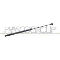 PRASCO FT7159055 Gasveer achterklep