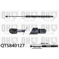 Quinton Hazell QTS840127 Gasveer achterklep