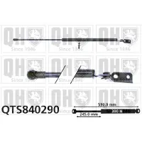 Quinton Hazell QTS840290 Gasveer achterklep