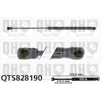 Quinton Hazell QTS828190 Gasveer achterklep