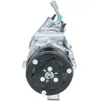 BV PSH 090.135.024.040 Aircopomp
