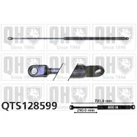 Quinton Hazell QTS128599 Gasveer achterklep