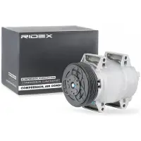 RIDEX 447K0081 Aircopomp
