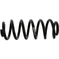SACHS 994 995 Chassisveer