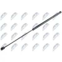 NTY AE-PE-009 Gasveer achterklep
