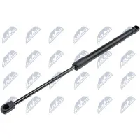 NTY AE-CT-054 Gasveer achterklep