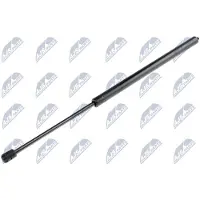NTY AE-CH-031 Gasveer achterklep