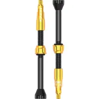 Lezyne Tire And Tube Sealant Cnc Tubeless Presta Kleppen