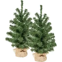 Everlands Mini kerstboompjes - 2x st - groen - 45 cm - Kunstkerstboom