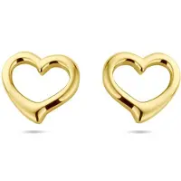 GLAMS oorknoppen hart 1 micron - Zilver