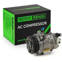 RIDEX 447K0494R Aircopomp