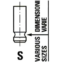 IPSA VL191000 Uitlaatklep