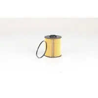 BSG 60-130-022 Brandstoffilter