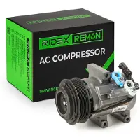RIDEX 447K0599R Aircopomp