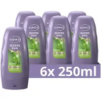 Andrélon 6x Conditioner Iedere Dag 250 Ml