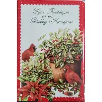 Janneke Brinkman Kerstkaarten - kerstkaart - 8 dubbele wenskaarten met 8 enveloppen - vogeltjes kerstster