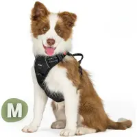 De Blaffende Kat Reflecterend Hondentuigje Y - Hondenharnas - Halsband hond - Maat M
