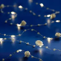 Lumineo Micro LED string met roosjes - 190 cm lang - 20 LED's