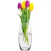 Alessandro Bloemenvaas klassiek - transparant glas - 12 x 26 cm - cilinder model - boeketvaas