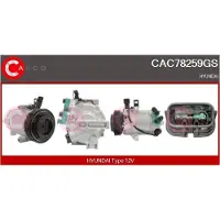 Casco CAC78259GS Aircopomp
