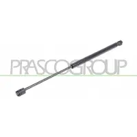 PRASCO VG0169055 Gasveer achterklep