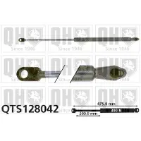 Quinton Hazell QTS128042 Gasveer achterklep