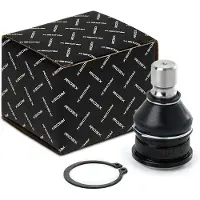RIDEX 2462S0542 Fuseekogel