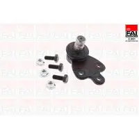 FAI AutoParts SS10857 Fuseekogel