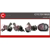 Casco CTC73119GS Turbocharger