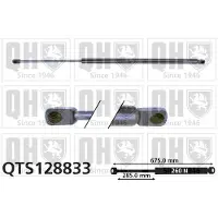 Quinton Hazell QTS128833 Gasveer motorkap
