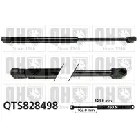 Quinton Hazell QTS828498 Gasveer achterklep
