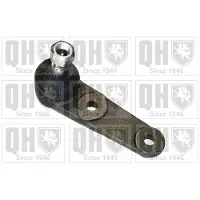 Quinton Hazell QSJ1142S Fuseekogel